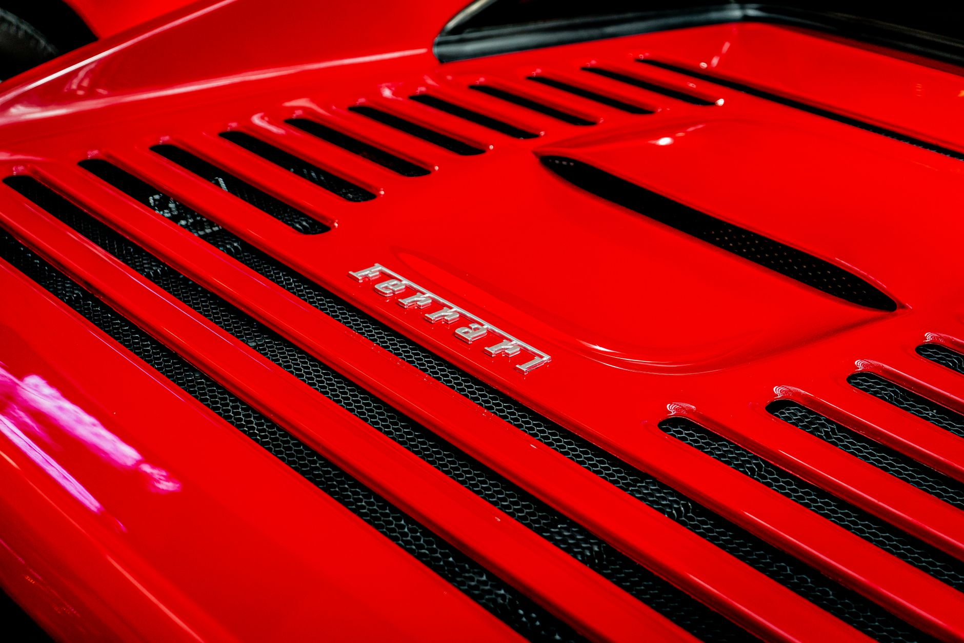 Full Interior Detail – Salado